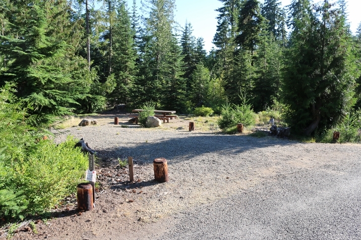 Camping in Washingtons Kachess Campground.